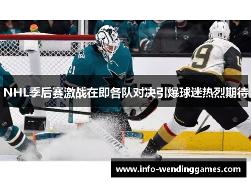 NHL季后赛激战在即各队对决引爆球迷热烈期待