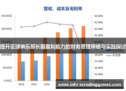 提升足球俱乐部长期盈利能力的财务管理策略与实践探讨