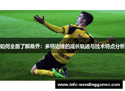 如何全面了解桑乔：多特边锋的成长轨迹与技术特点分析