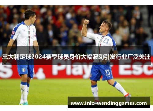 意大利足球2024赛季球员身价大幅波动引发行业广泛关注