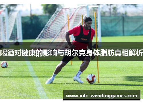 喝酒对健康的影响与胡尔克身体脂肪真相解析