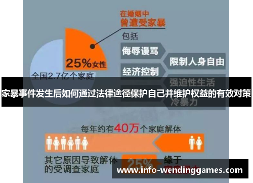 家暴事件发生后如何通过法律途径保护自己并维护权益的有效对策