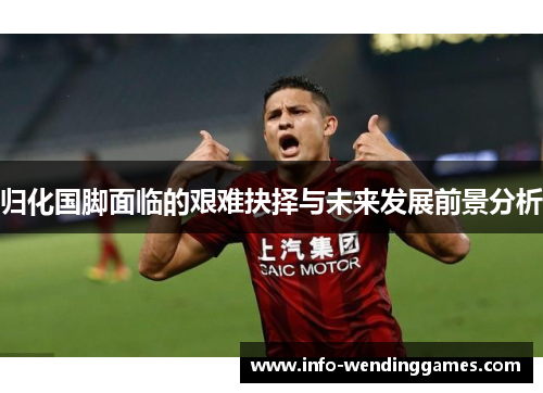 归化国脚面临的艰难抉择与未来发展前景分析
