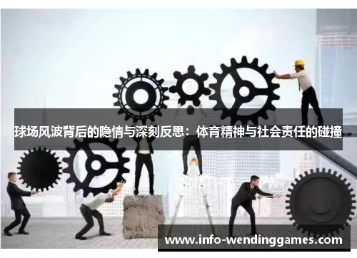 球场风波背后的隐情与深刻反思：体育精神与社会责任的碰撞