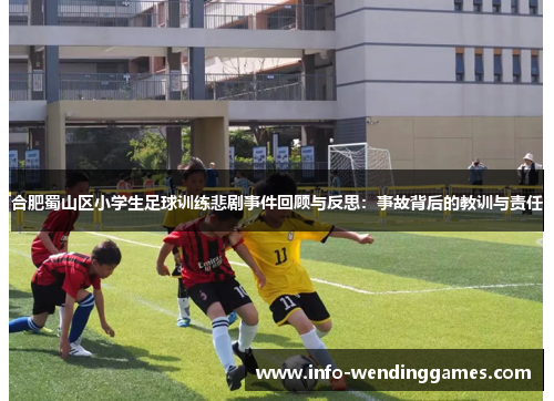 合肥蜀山区小学生足球训练悲剧事件回顾与反思：事故背后的教训与责任