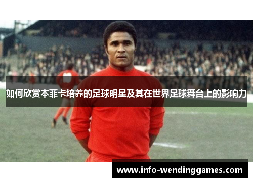 如何欣赏本菲卡培养的足球明星及其在世界足球舞台上的影响力