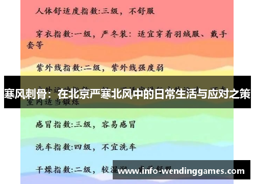 寒风刺骨：在北京严寒北风中的日常生活与应对之策