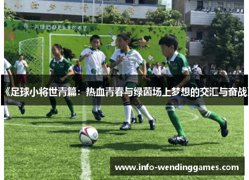 《足球小将世青篇：热血青春与绿茵场上梦想的交汇与奋战》