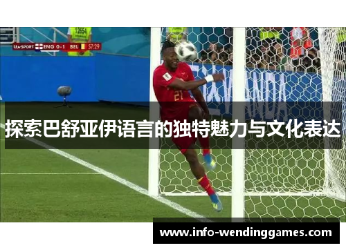 探索巴舒亚伊语言的独特魅力与文化表达