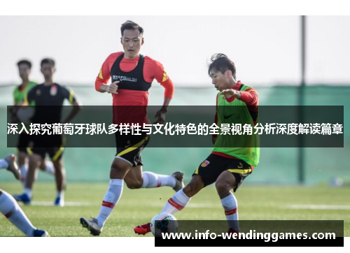 深入探究葡萄牙球队多样性与文化特色的全景视角分析深度解读篇章
