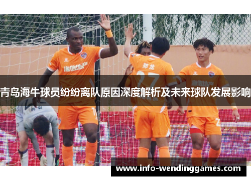 青岛海牛球员纷纷离队原因深度解析及未来球队发展影响